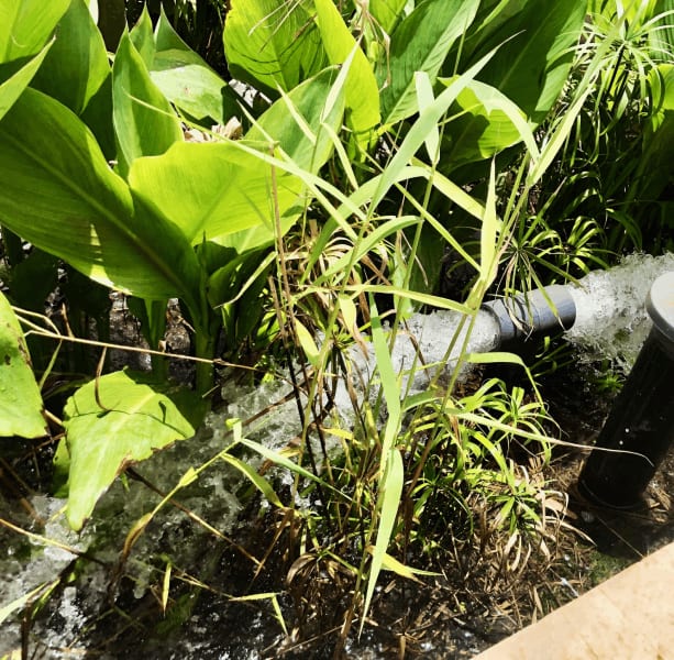 Système d'injection d'eaux usées dans un filtre planté installé par Filtreplante pour Sagemcom, illustrant le fonctionnement de l'assainissement écologique individuel