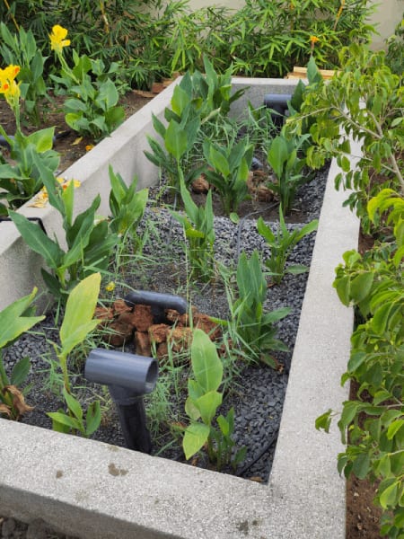 Filtre planté compact pour assainissement écologique d'une villa individuelle près de Saly au Sénégal, intégré dans un aménagement paysager avec système d'injection visible