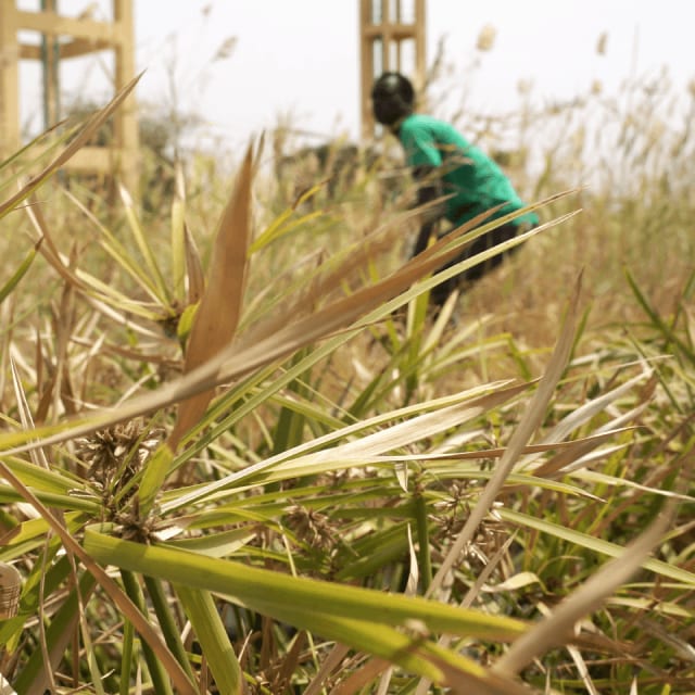 Technicien FiltrePlante travaillant dans un Filtre Planté de Végétaux à Gandiaye - Maintenance d'un système d'assainissement écologique au Sénégal